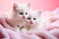 Cute little kittens on knitted blanket