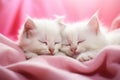 Cute little kittens on knitted blanket