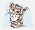 Cute little kitty illustration, kitty print pattern, postcard, cat animal care pets animal cute animals