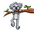 Cute Little Koala Climbing a Tree