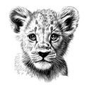 Cute little Lion cub face hand drawn sketch in doodle style Vector illustration Royalty Free Stock Photo