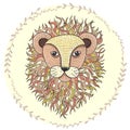 Cute little lion illustration for children.