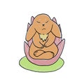 Cute little meditating rabbit. Vector hand drawn cartoon illustration