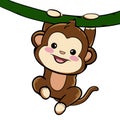 A cute little monkey hanging in the rope Royalty Free Stock Photo