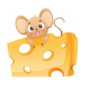 Cute little mouse eating cheese. Adorable funny baby animal character cartoon vector illustration Royalty Free Stock Photo