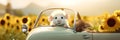 a cute little mouse rides in a car with sunflowers. banner