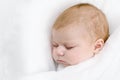 Cute little newborn baby girl sleeping wrapped in blanket Royalty Free Stock Photo