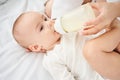 Cute little newborn boy eats milk from a bottle, a nipple Royalty Free Stock Photo