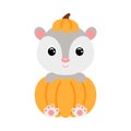 Cute little opossum sitting in a pumpkin. Cartoon animal character for kids t-shirts, nursery decoration, baby shower Royalty Free Stock Photo