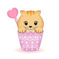 Cute little Orange Cat in cup of cupcake Royalty Free Stock Photo