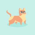 Cute little orange cat vector illustration. Curious kitten. Royalty Free Stock Photo