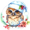 Cute little owl - Christmas watercolor illustration.