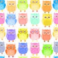 Cute little owl colorful pattern Royalty Free Stock Photo