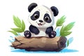 cute little panda bear