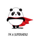 Cute Little Panda Superhero