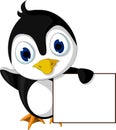 Cute little penguin cartoon holding blank sign