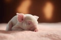 Cute little piglet lying on soft plaid, closeup
