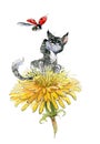 Cute little playing kitten on a dandelion flower and a flying ladybug. Watercolor illustration. Handmade.