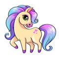 Cute little pony Royalty Free Stock Photo