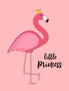 Cute Little Princess Abstract Background with Pink Flamingo Vector Illustration Royalty Free Stock Photo