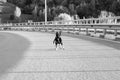 Little puppy of the black shephard dog running on the road Royalty Free Stock Photo