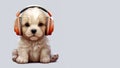 Cute little puppy with headphones listening to music on grey background