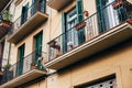 Cute little puppy looks out of balcony