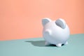 Cute little pure white piggy bank on a duotone background