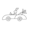 Cute little rabbit drives a car with carrot