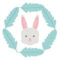 Cute little rabbit with feathers frame