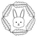 Cute little rabbit with feathers frame