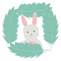 Cute little rabbit with feathers frame