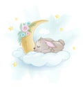 Cute little rabbit sleeping on a cloud