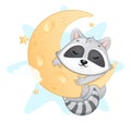 Cute little raccoon sleeping on the moon