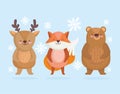 Cute little reindeer bear and fox animal with stars in cartoon design