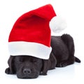 Cute little santa Royalty Free Stock Photo