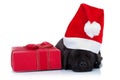 Cute little santa Royalty Free Stock Photo