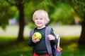 Cute little schoolboy with his backpack and apple. Back to school concept. Royalty Free Stock Photo