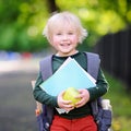 Cute little schoolboy outdoors on sunny autumn day Royalty Free Stock Photo