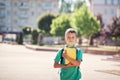 Cute little schoolboy outdoors on sunny day. Child with his backpack and holding books Royalty Free Stock Photo