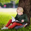 Cute little schoolboy sitting under tree and studying . Back to Royalty Free Stock Photo