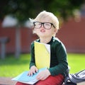 Cute little schoolboy studying outdoors on sunny day. Back to school concept. Royalty Free Stock Photo