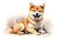 Cute little Shiba Inu dog with a wide open mouthed smile and bright. Watercolor