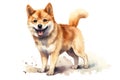 Cute little Shiba Inu dog with a wide open mouthed smile and bright. Watercolor