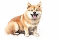 Cute little Shiba Inu dog with a wide open mouthed smile and bright. Watercolor