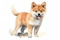 Cute little Shiba Inu dog with a wide open mouthed smile and bright. Watercolor