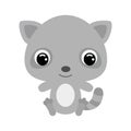 Cute little sitting raccoon. Forest animal. Flat vector stock illustration