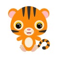 Cute little sitting tiger. Jungle animal. Flat vector stock illustration Royalty Free Stock Photo
