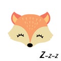 Cute little sleepy fox Royalty Free Stock Photo