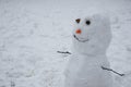 Cute Little Snowman Royalty Free Stock Photo